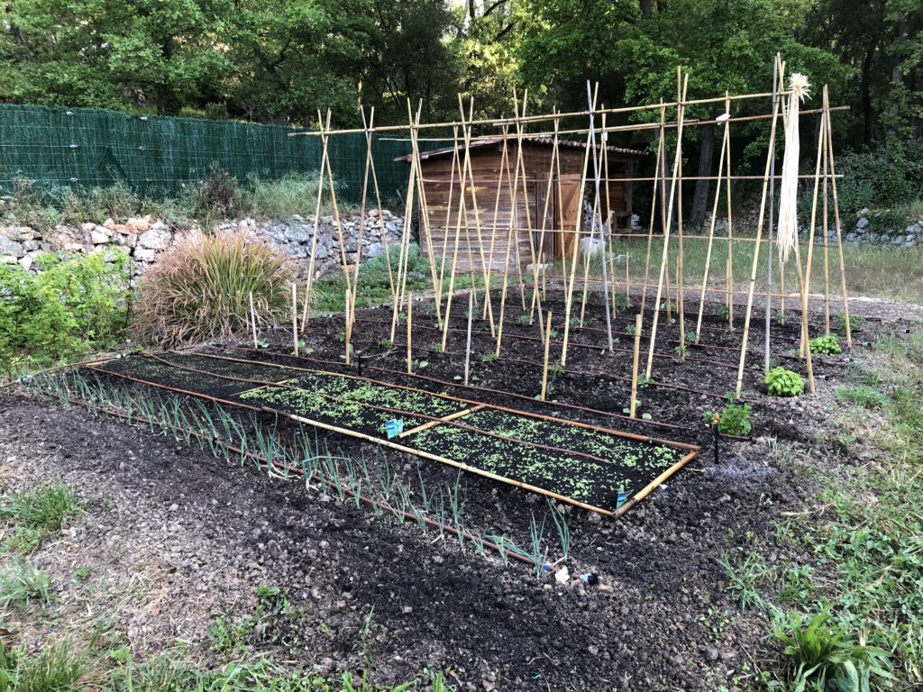 Création et entretien d’espaces verts par Saint Martin Paysages, jardinier paysagiste dans le Var