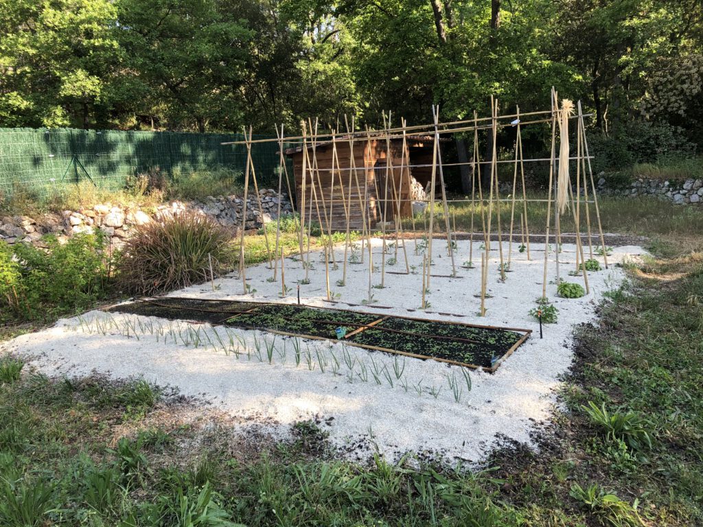 Création et entretien d’espaces verts par Saint Martin Paysages, jardinier paysagiste dans le Var