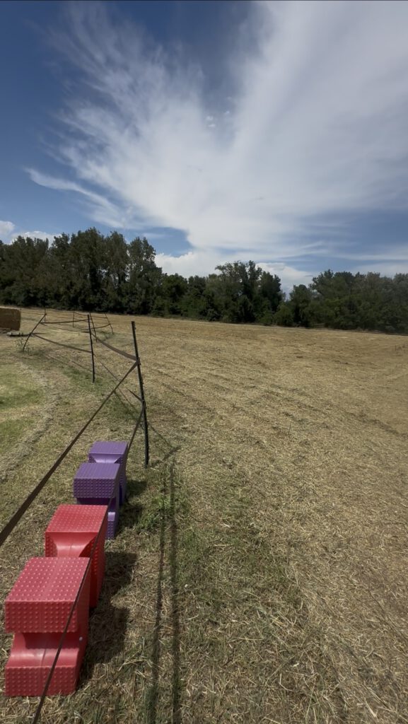 Création et entretien d’espaces verts par Saint Martin Paysages, jardinier paysagiste dans le Var