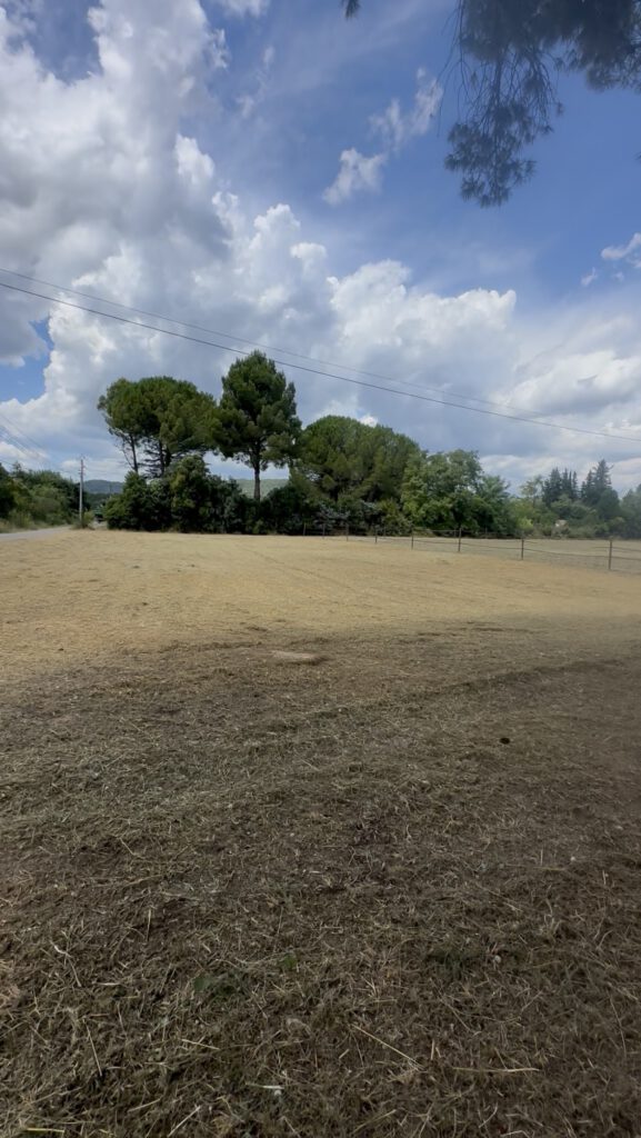 Création et entretien d’espaces verts par Saint Martin Paysages, jardinier paysagiste dans le Var
