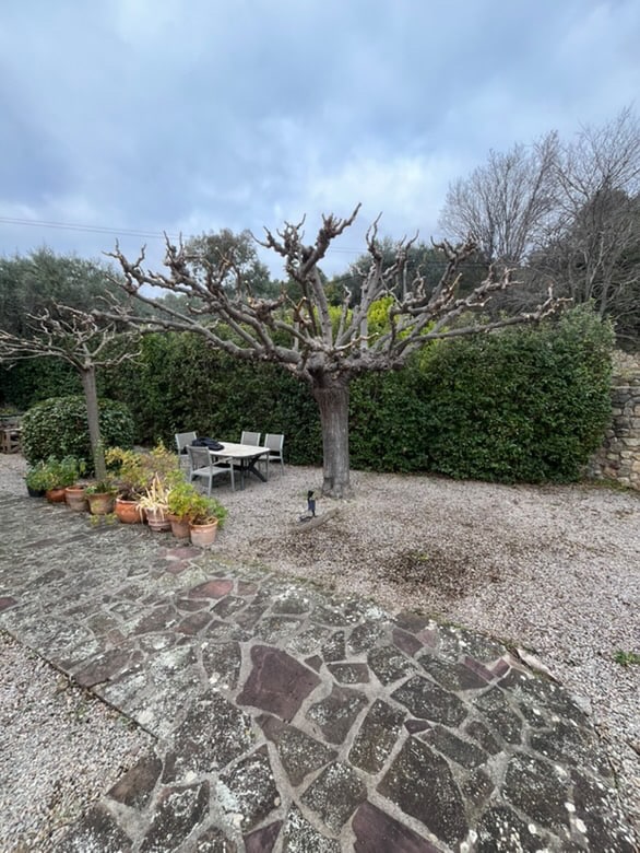 Création et entretien de jardin à Draguignan par Saint Martin Paysages