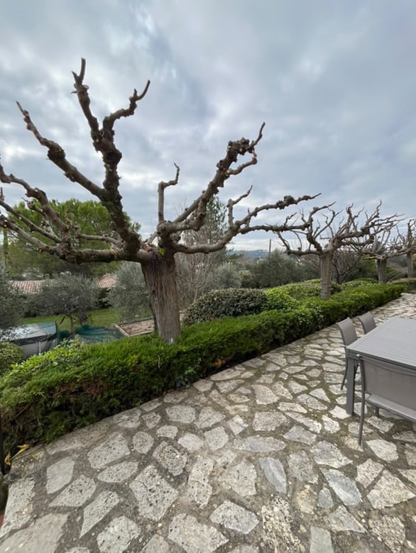Création et entretien de jardin à Draguignan par Saint Martin Paysages