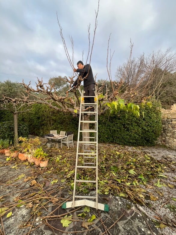 Création et entretien de jardin à Draguignan par Saint Martin Paysages