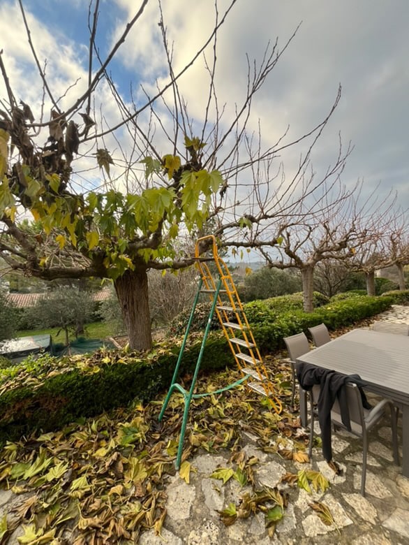Création et entretien de jardin à Draguignan par Saint Martin Paysages